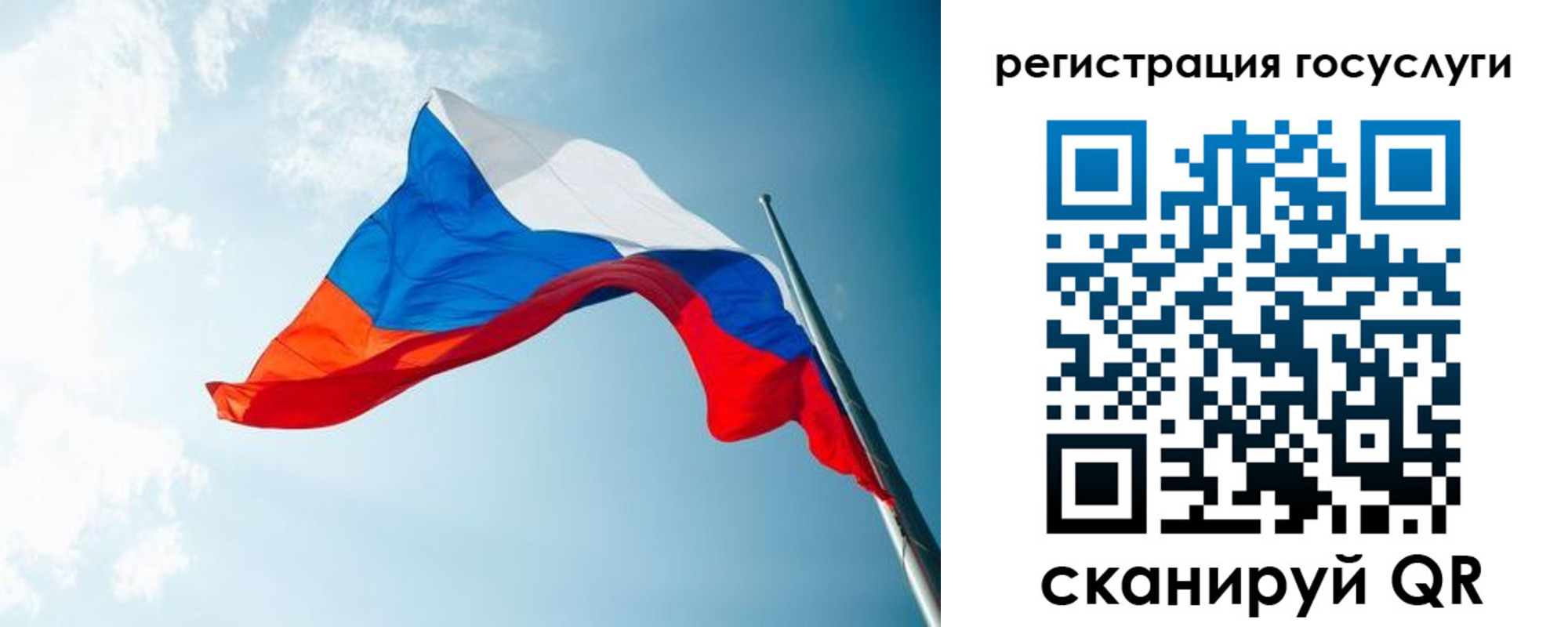 временная регистрация недорого в Новом Осколе